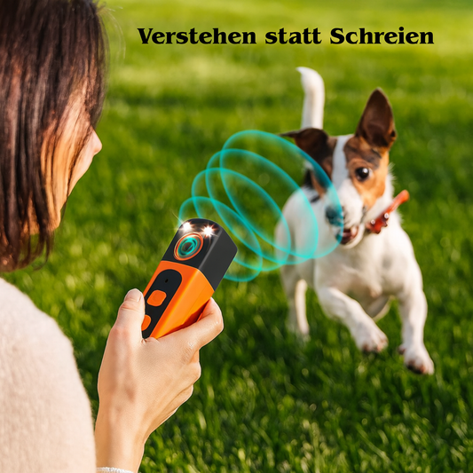 Canora - Harmonie für dich und deinen tierischen Begleiter.