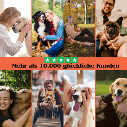 Canora - Harmonie für dich und deinen tierischen Begleiter.