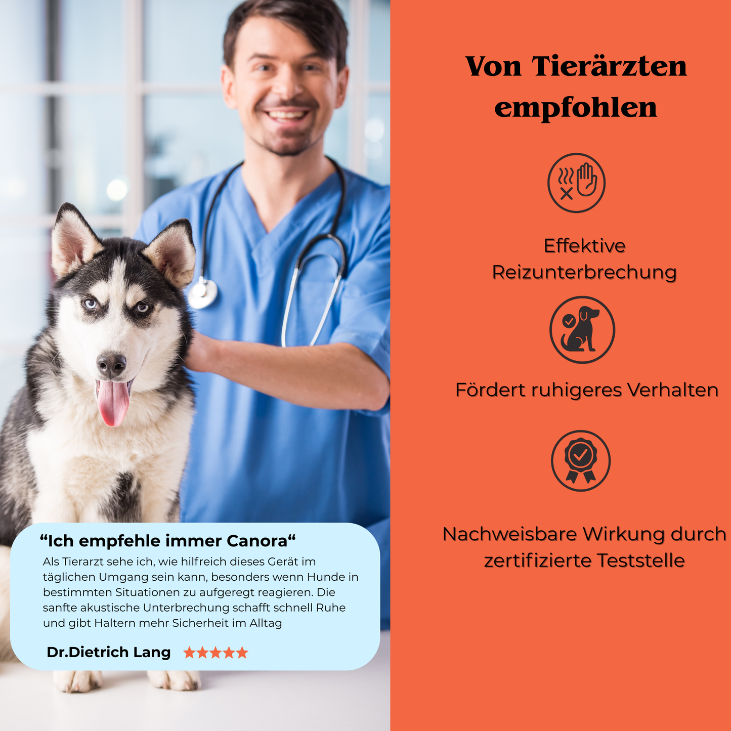 Canora - Harmonie für dich und deinen tierischen Begleiter.